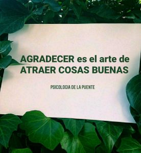 Agradecer es el arte de atraer cosas buenas