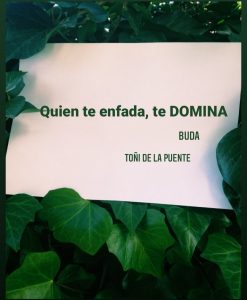 Quien te enfada te domina