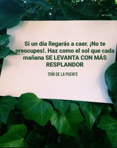 Si un día llegaras a caer. ¡No te preocupes! Haz como el sol que cada mañana se levanta con más resplandor