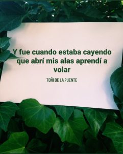 Y fue cuando estaba cayendo que abrí mis alas y aprendí a volar