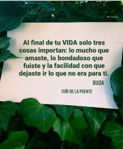 Al final de la vida solo tres cosas importan : lo mucho que amaste, lo bondadoso que fuiste y la facilidad con que dejaste ir lo que no era para ti